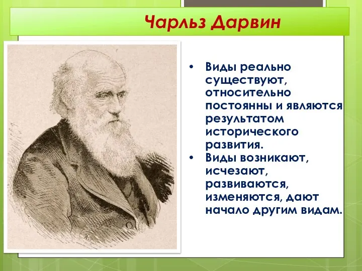 Виды реально существуют, относительно постоянны и являются результатом исторического развития. Виды возникают,