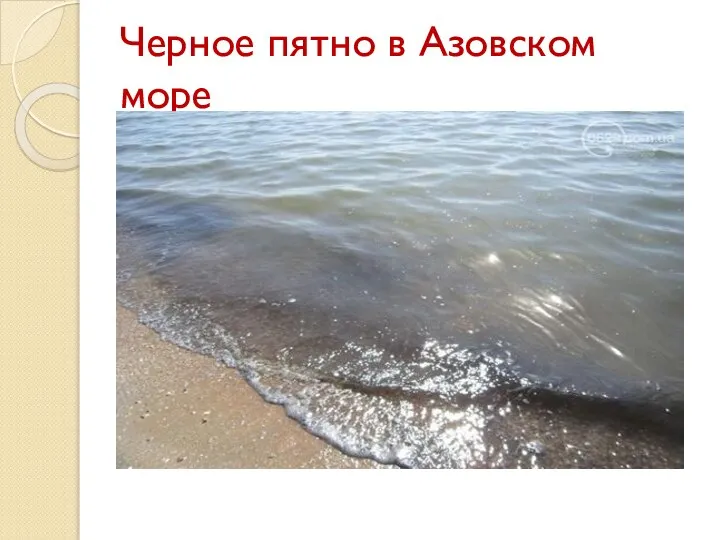 Черное пятно в Азовском море