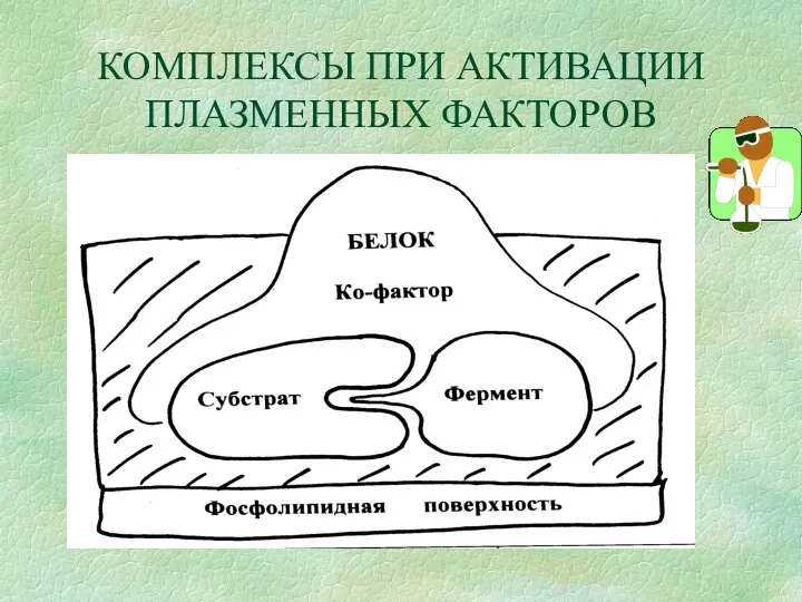 КОМПЛЕКСЫ ПРИ АКТИВАЦИИ ПЛАЗМЕННЫХ ФАКТОРОВ