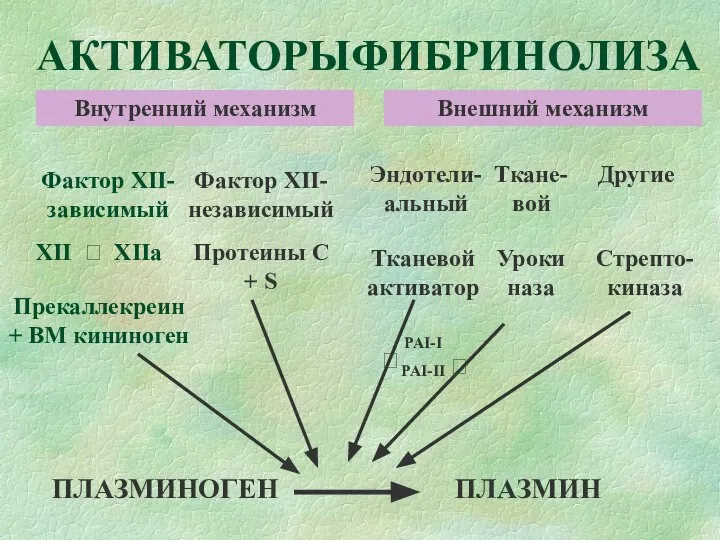 АКТИВАТОРЫФИБРИНОЛИЗА ПЛАЗМИНОГЕН ПЛАЗМИН Фактор XII-зависимый Фактор XII-независимый Внутренний механизм Внешний механизм Эндотели-альный