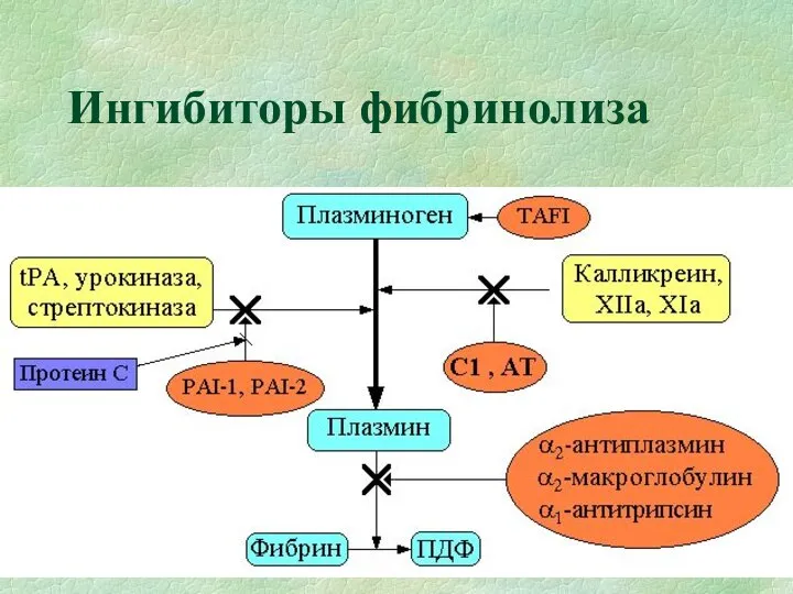 Ингибиторы фибринолиза