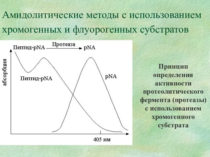 Амидолитические методы с использованием хромогенных и флуорогенных субстратов Принцип определения активности протеолитического