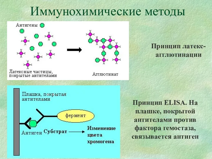 Иммунохимические методы Принцип латекс-агглютинации Принцип ELISA. На плашке, покрытой антителами против фактора гемостаза, связывается антиген