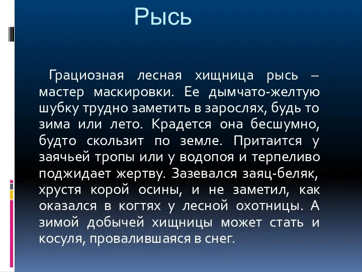 Рысь Грациозная лесная хищница рысь – мастер маскировки. Ее дымчато-желтую шубку трудно