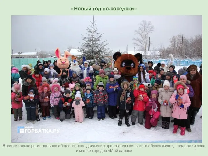 Владимирское региональное общественное движение пропаганды сельского образа жизни, поддержки села и малых