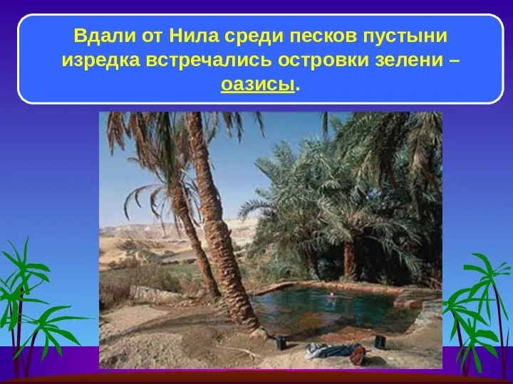 Вдали от Нила среди песков пустыни изредка встречались островки зелени – оазисы.