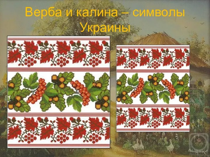 Верба и калина – символы Украины