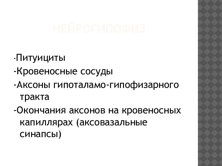 НЕЙРОГИПОФИЗ -Питуициты -Кровеносные сосуды -Аксоны гипоталамо-гипофизарного тракта -Окончания аксонов на кровеносных капиллярах (аксовазальные синапсы)