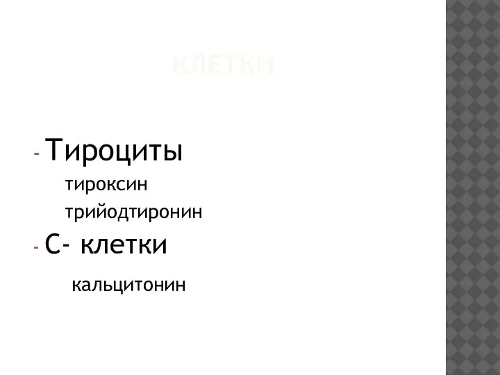 КЛЕТКИ Тироциты тироксин трийодтиронин С- клетки кальцитонин