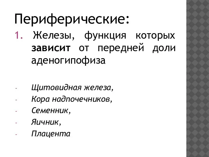 Периферические: 1. Железы, функция которых зависит от передней доли аденогипофиза Щитовидная железа,