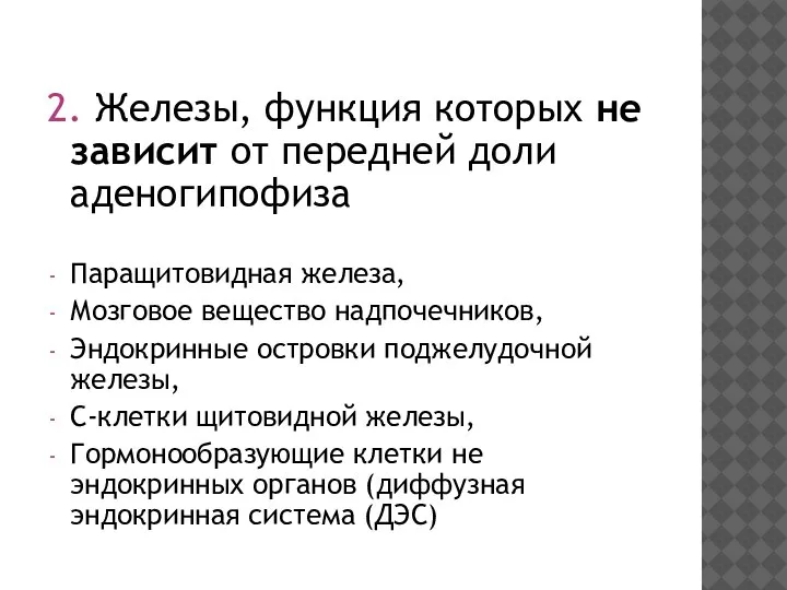 2. Железы, функция которых не зависит от передней доли аденогипофиза Паращитовидная железа,