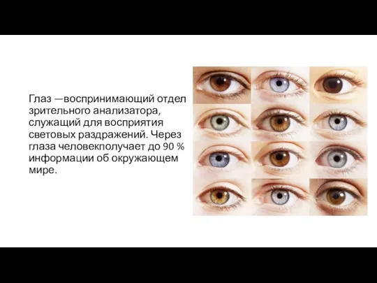Глаз —воспринимающий отдел зрительного анализатора, служащий для восприятия световых раздражений. Через глаза