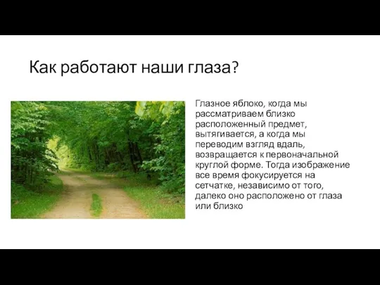 Как работают наши глаза? Глазное яблоко, когда мы рассматриваем близко расположенный предмет,