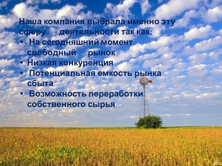 Наша компания выбрала именно эту сферу деятельности так как: На сегодняшний момент