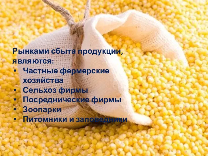 Рынками сбыта продукции, являются: Частные фермерские хозяйства Сельхоз фирмы Посреднические фирмы Зоопарки Питомники и заповедники