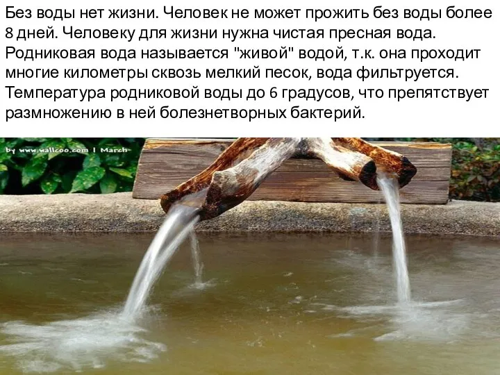 Без воды нет жизни. Человек не может прожить без воды более 8