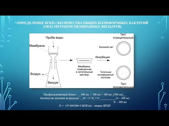 ОПРЕДЕЛЕНИЕ БГКП ( КОЛИЧЕСТВА ОБЩИХ КОЛИФОРМНЫХ БАКТЕРИЙ(ОКБ) МЕТОДОМ МЕМБРАННЫХ ФИЛЬТРОВ. Профильтрованный объем