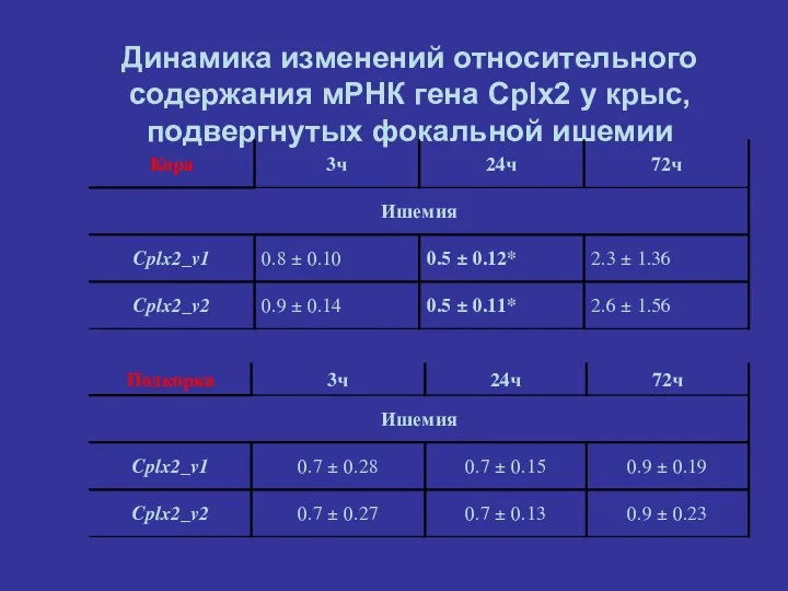 Динамика изменений относительного содержания мРНК гена Cplx2 у крыс, подвергнутых фокальной ишемии