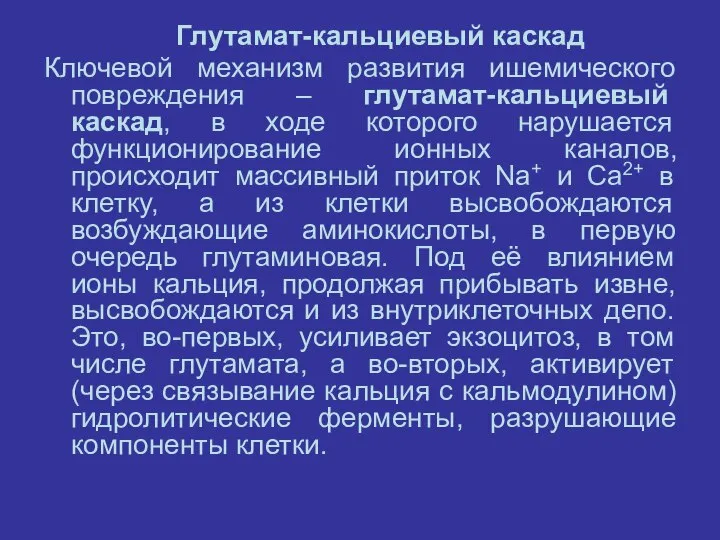 Глутамат-кальциевый каскад Ключевой механизм развития ишемического повреждения – глутамат-кальциевый каскад, в ходе