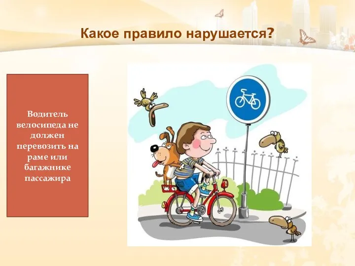Какое правило нарушается? Водитель велосипеда не должен перевозить на раме или багажнике пассажира