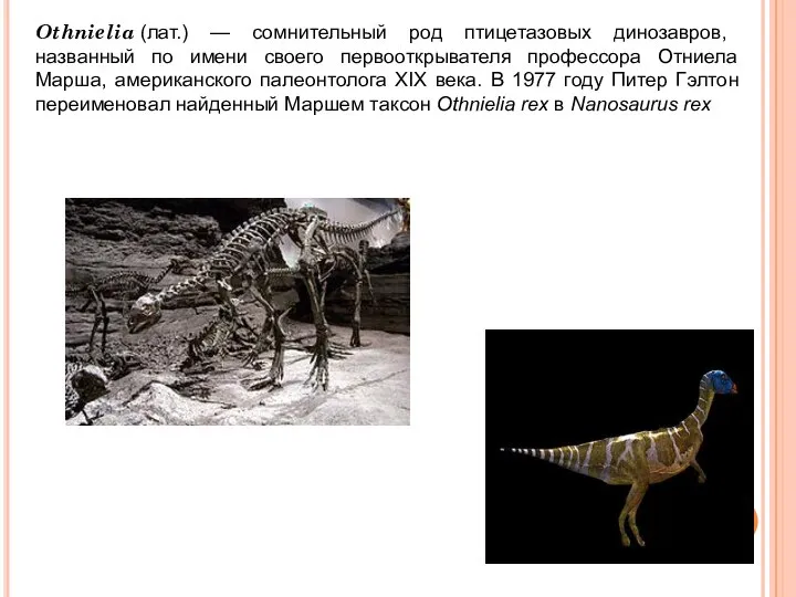 Othnielia (лат.) — сомнительный род птицетазовых динозавров, названный по имени своего первооткрывателя