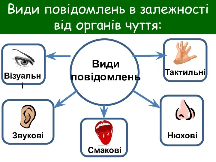 Види повідомлень в залежності від органів чуття: Види повідомлень Візуальні Звукові Смакові Нюхові Тактильні