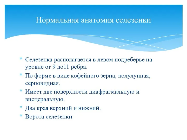 Селезенка располагается в левом подреберье на уровне от 9 до11 ребра. По