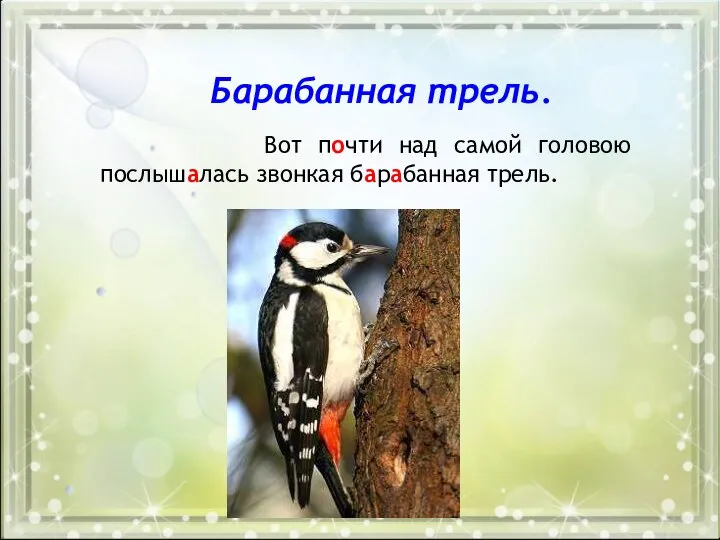 Вот почти над самой головою послышалась звонкая барабанная трель. Барабанная трель.