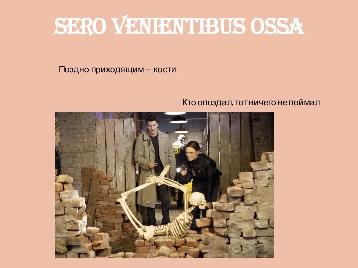 Sero venientibus ossa Поздно приходящим – кости Кто опоздал, тот ничего не поймал