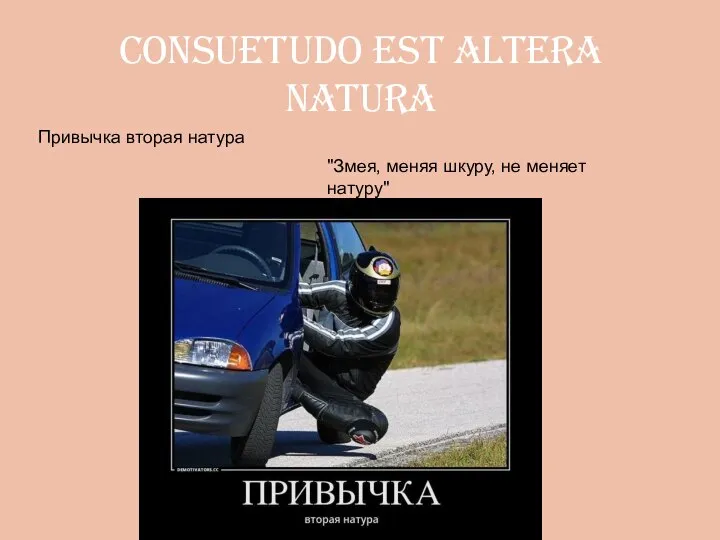 consuetudo est altera natura Привычка вторая натура "Змея, меняя шкуру, не меняет натуру"