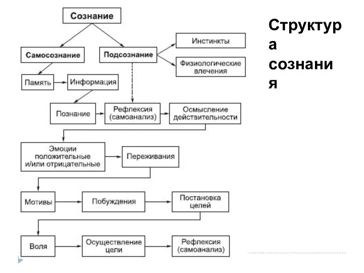 Структура сознания