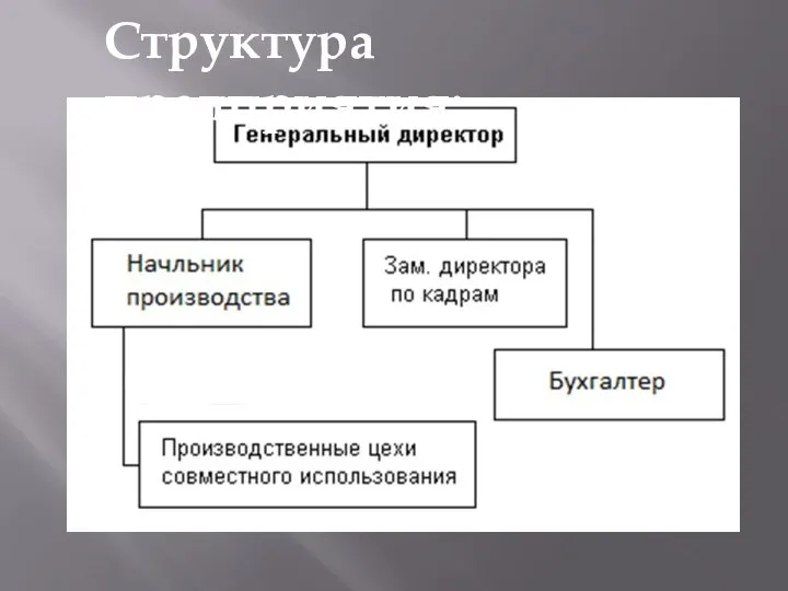 Структура предприятия: