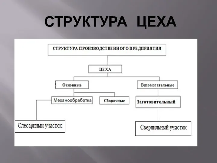 СТРУКТУРА ЦЕХА