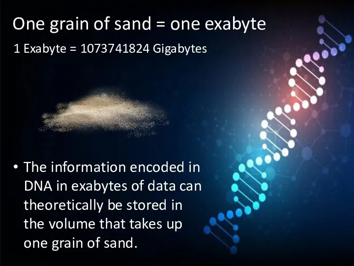 One grain of sand = one exabyte The information encoded in DNA