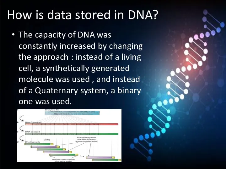 How is data stored in DNA? The capacity of DNA was constantly