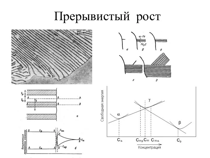 Прерывистый рост