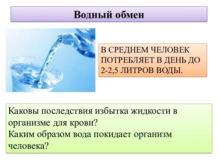 Водный обмен В СРЕДНЕМ ЧЕЛОВЕК ПОТРЕБЛЯЕТ В ДЕНЬ ДО 2-2,5 ЛИТРОВ ВОДЫ.