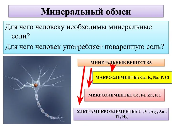 Минеральный обмен Для чего человеку необходимы минеральные соли? Для чего человек употребляет