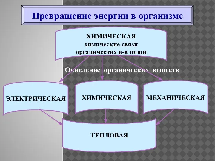 Превращение энергии в организме ХИМИЧЕСКАЯ химические связи органических в-в пищи Окисление органических