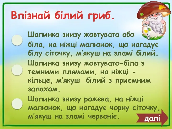 Впізнай білий гриб. Шапинка знизу жовтувата або біла, на ніжці малюнок, що