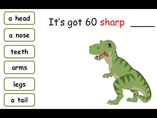 a head a nose teeth arms legs a tail It’s got 60 sharp ____