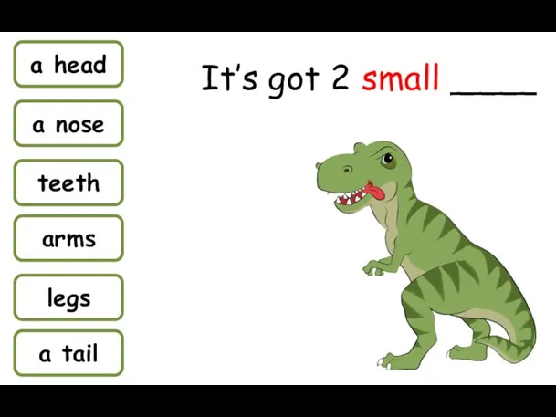 a head a nose teeth arms legs a tail It’s got 2 small ____