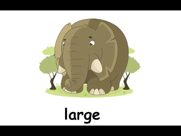 large