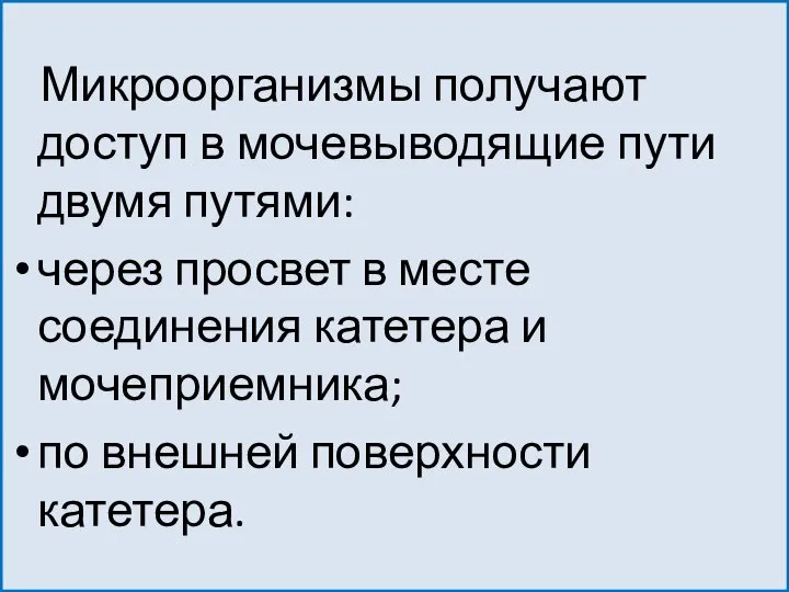 Микроорганизмы получают доступ в мочевыводящие пути двумя путями: через просвет в месте