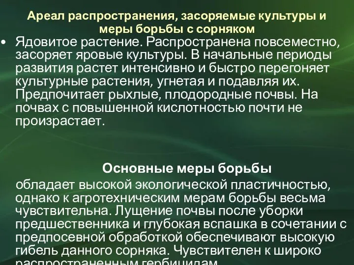 Ареал распространения, засоряемые культуры и меры борьбы с сорняком Ядовитое растение. Распространена