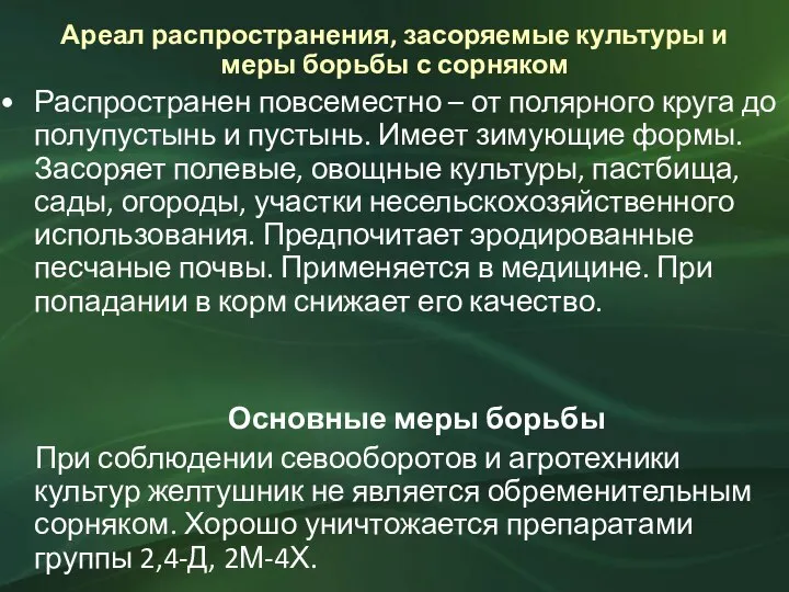 Ареал распространения, засоряемые культуры и меры борьбы с сорняком Распространен повсеместно –