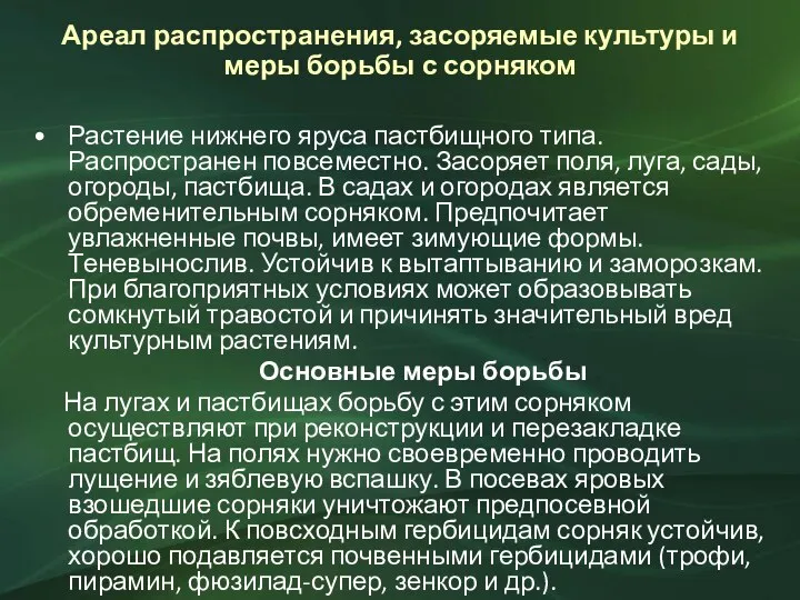 Ареал распространения, засоряемые культуры и меры борьбы с сорняком Растение нижнего яруса