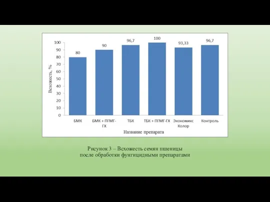 Рисунок 3 – Всхожесть семян пшеницы после обработки фунгицидными препаратами