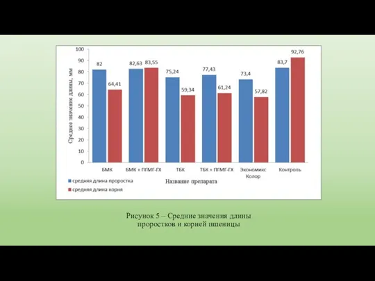 Рисунок 5 – Средние значения длины проростков и корней пшеницы