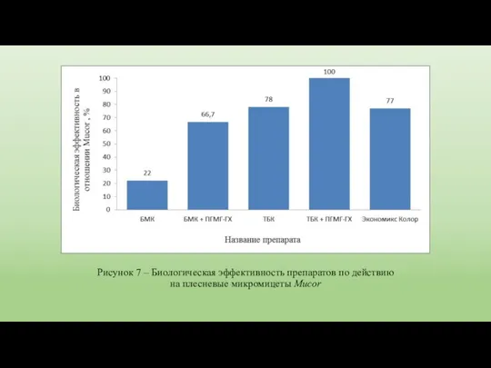 Рисунок 7 – Биологическая эффективность препаратов по действию на плесневые микромицеты Mucor